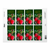 Raspberry Jam Labels (Vorne)