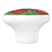 Raspberry Keramik Knob Keramikknauf (Seitenansicht)