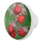 Raspberry Keramik Knob Keramikknauf (Rechts)