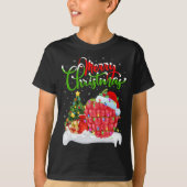 Raspberry Lover Xmas Lighting Santa Raspberry Chri T-Shirt (Vorderseite)