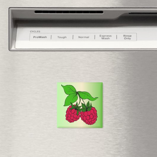 Raspberry Magnet (In Situ (Geschirrspüler))