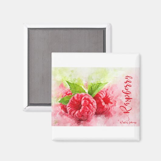 Raspberry Magnet (Vorderseite/Rückseite)