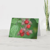 Raspberry Notecard Karte (Vorderseite)