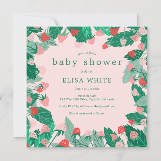 Raspberry Patch Niedlich farbenfroh CUSTOM BABY SH Einladung (Vorderseite)