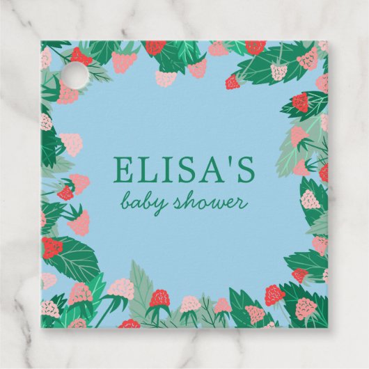 Raspberry Patch Niedlich farbenfroh CUSTOM BABY SH Geschenkanhänger (Vorderseite)