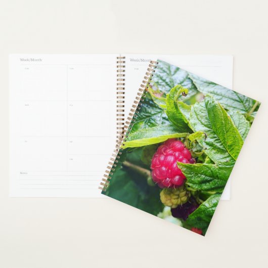 Raspberry Planner Planer (Anzeige)