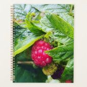 Raspberry Planner Planer (Vorderseite)