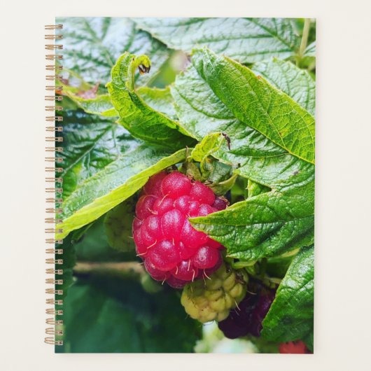 Raspberry Planner Planer (Vorderseite)