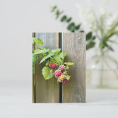 Raspberry Postcard Postkarte (Stehend Vorderseite)