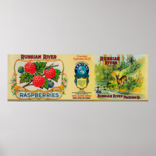 Raspberry-Siegel Poster
