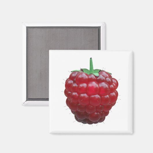 Raspiberry Magnet (Vorderseite/Rückseite)