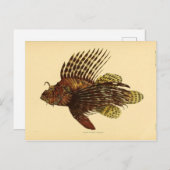 Rasräus Postkarte (Vorne/Hinten)