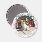 Rasse für gemischte Terrier Magnet (Vorderseite/Rückseite)