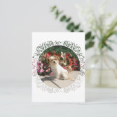 Rasse für gemischte Terrier Postkarte (Stehend Vorderseite)