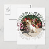 Rasse für gemischte Terrier Postkarte (Vorne/Hinten)