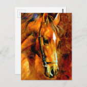 Rasse Postkarte (Vorne/Hinten)