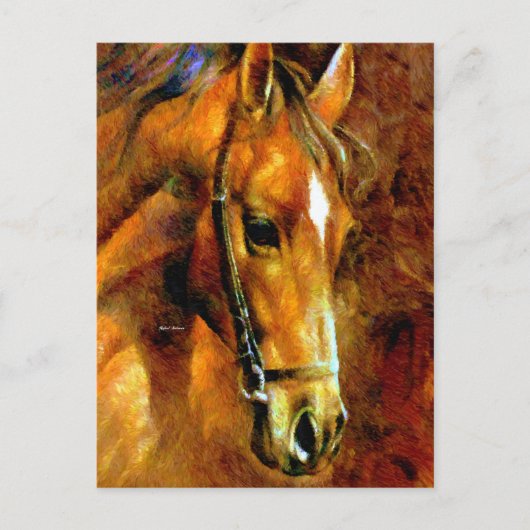 Rasse Postkarte (Vorderseite)