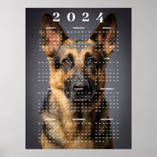 Rassehunde Deutsche Schäferhund Foto 2024 Kalender Poster (Vorne)