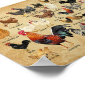 Rassen von Vintagem Bauer von Hühnern Poster (Ecke)