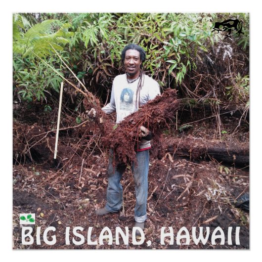 RASTA BAUER MIT HAPUU FERN POSTER (Vorderseite)