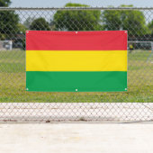 Rasta färbt grünes gelbes rotes banner (Insitu)
