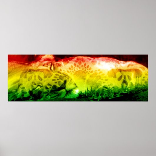Rasta Lion Poster (Vorne)
