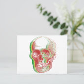 Rasta Skull Postkarte (Stehend Vorderseite)