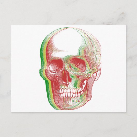 Rasta Skull Postkarte (Vorderseite)
