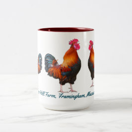 Raster Farm mit benutzerdefiniertem Aquamarinen Te Zweifarbige Tasse