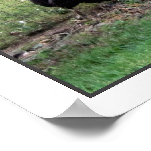 Rasterfarm Poster (Ecke)