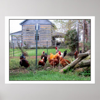 Rasterfarm Poster