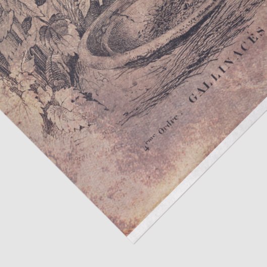 Rastergewebe oder Entpackpapier Seidenpapier (Ausschnitt)