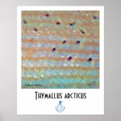 Rasur-FFF-Poster Poster (Vorne)