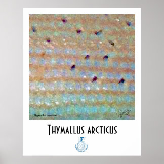 Rasur-FFF-Poster Poster