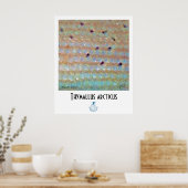 Rasur-FFF-Poster Poster (Küche)