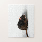 Rat 11x14 252pc jpcn puzzle (Vertikal)