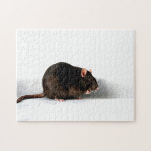 Rat 11x14 252pc jpcna puzzle