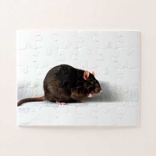 Rat 11x14 30pc jpcna puzzle (Horizontal)