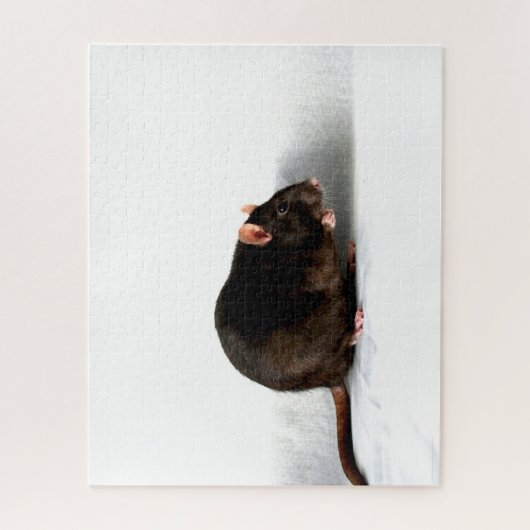 Rat 16x20 520pc jpcna puzzle (Vertikal)