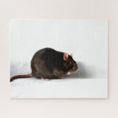 Rat 16x20 520pc jpcna puzzle (Horizontal)