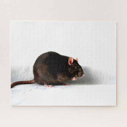 Rat 16x20 520pc jpcna puzzle (Horizontal)