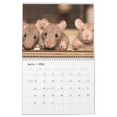 Rat 2025 kalender (Mär 2026)