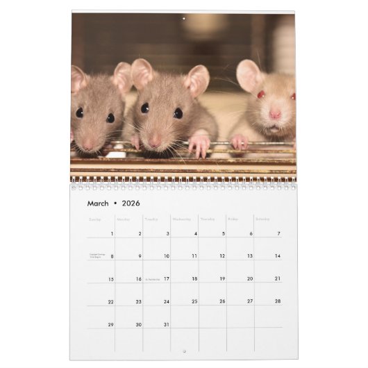 Rat 2025 kalender (Mär 2026)