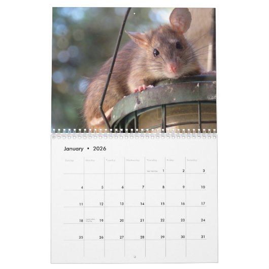 Rat 2025 kalender (Jan 2026)
