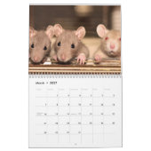 Rat 2025 kalender (Mär 2027)