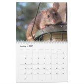 Rat 2025 kalender (Jan 2027)