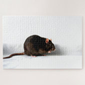 Rat 20x30 1014pc jpcn puzzle (Horizontal)
