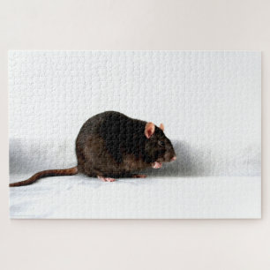 Rat 20x30 1014pc jpcn puzzle