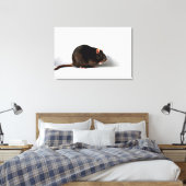 Rat 36x24 (90x60cm) Waccna Leinwanddruck (Insitu (Schlafzimmer))
