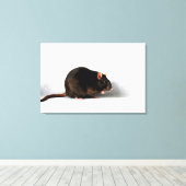 Rat 36x24 (90x60cm) Waccna Leinwanddruck (Insitu (Holzboden))
